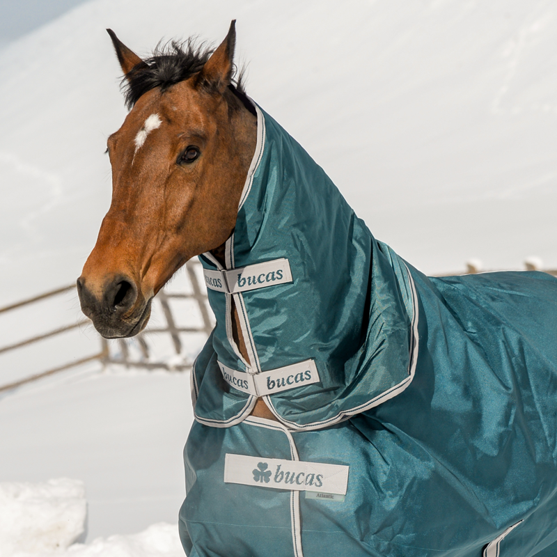 Bucas Atlantic 50g Turnout Combi Neck Cover - Atlantic Green-1